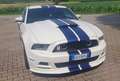 Ford Mustang Premium Pack+Roush Performance stg1+kit shelby - thumbnail 2