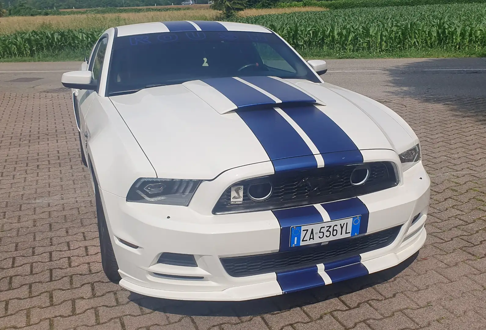 Ford Mustang Premium Pack+Roush Performance stg1+kit shelby - 2