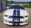 Ford Mustang Premium Pack+Roush Performance stg1+kit shelby - thumbnail 1