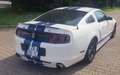 Ford Mustang Premium Pack+Roush Performance stg1+kit shelby - thumbnail 5