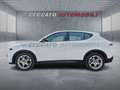 Alfa Romeo Tonale Tonale 1.6 Sprint 130cv tct6 Bianco - thumbnail 2