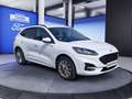 Ford Kuga Kuga 2.5L PHEV ST-LINE X #7J Garantie #Navi #RFK Weiß - thumbnail 14