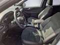 Ford Kuga Kuga 2.5L PHEV ST-LINE X #7J Garantie #Navi #RFK Weiß - thumbnail 7