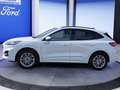 Ford Kuga Kuga 2.5L PHEV ST-LINE X #7J Garantie #Navi #RFK Weiß - thumbnail 3
