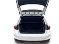 Skoda Fabia Sondermodell 130 Jahre PREMIUM LED+KAMERA+PDC+S... - thumbnail 9