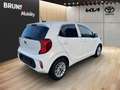 Kia Picanto 1.0 Dream Team Wit - thumbnail 4