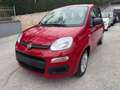 Fiat Panda 1.0 FireFly S&S Hybrid Rosso - thumbnail 1