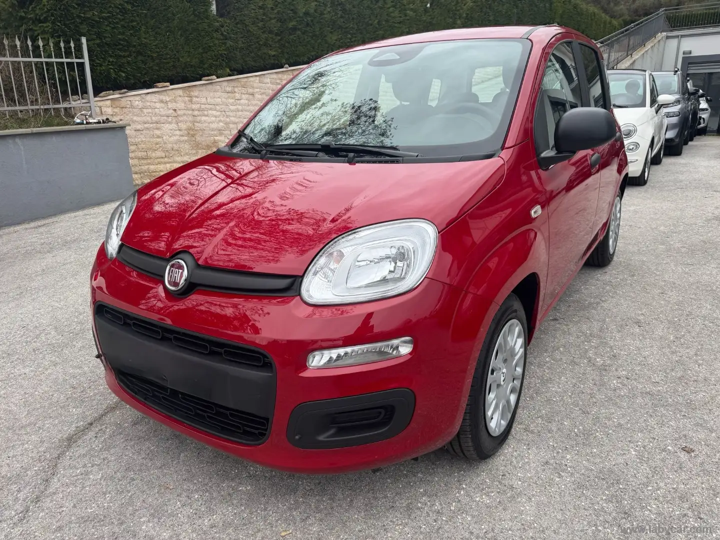 Fiat Panda 1.0 FireFly S&S Hybrid Rosso - 1