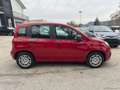 Fiat Panda 1.0 FireFly S&S Hybrid Rosso - thumbnail 4