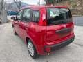 Fiat Panda 1.0 FireFly S&S Hybrid Rosso - thumbnail 7