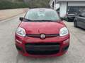 Fiat Panda 1.0 FireFly S&S Hybrid Rosso - thumbnail 2