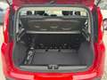 Fiat Panda 1.0 FireFly S&S Hybrid Rosso - thumbnail 10