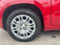 Fiat Panda 1.0 FireFly S&S Hybrid Rosso - thumbnail 9