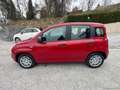 Fiat Panda 1.0 FireFly S&S Hybrid Rosso - thumbnail 8
