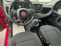 Fiat Panda 1.0 FireFly S&S Hybrid Rosso - thumbnail 11