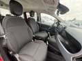 Fiat Panda 1.0 FireFly S&S Hybrid Rosso - thumbnail 13