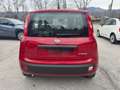 Fiat Panda 1.0 FireFly S&S Hybrid Rosso - thumbnail 6