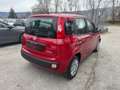Fiat Panda 1.0 FireFly S&S Hybrid Rosso - thumbnail 5