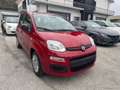 Fiat Panda 1.0 FireFly S&S Hybrid Rosso - thumbnail 3