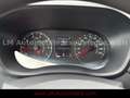Renault Master III DoKa Pritsche L3H1 3,5t*AHK*Klima* Blau - thumbnail 14