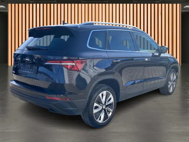 Skoda Karoq view 4