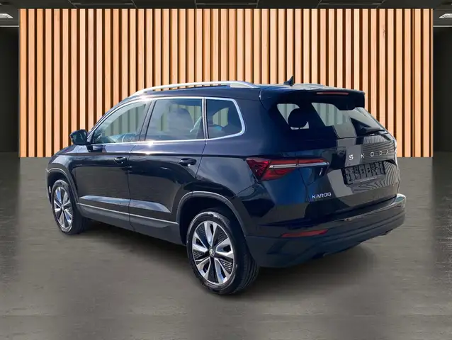 Skoda Karoq view 5