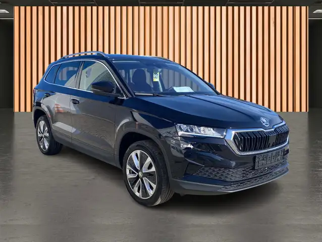 Skoda Karoq view 3