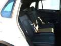 Volkswagen Tiguan 2.0 TDI DSG R-Line AHK/MATRIX/19-ZOLL/NAVI/BUSINE Weiß - thumbnail 8