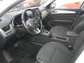 Renault Arkana 1.6 hybrid Intens E-Tech 145cv Bianco - thumbnail 10