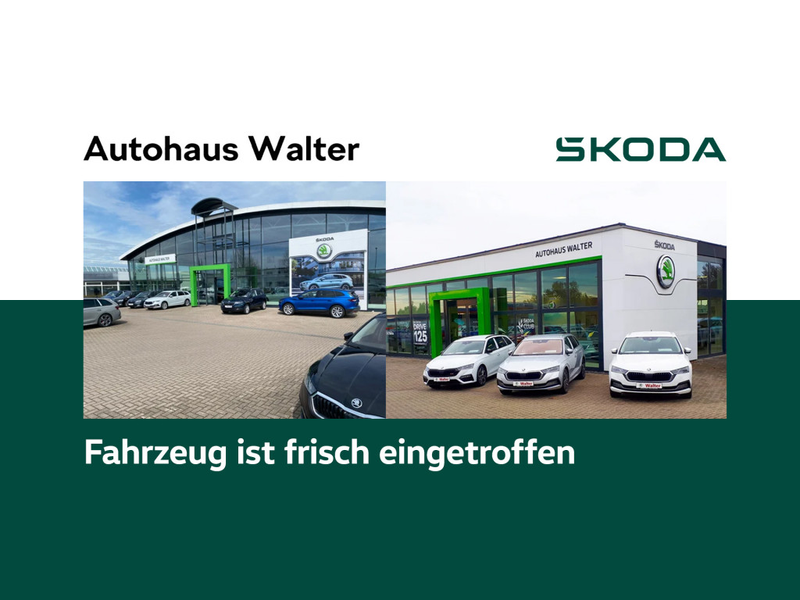 Skoda Karoq 1.5 TSI ACT Tour NAVI AHK LENKRADHZ.