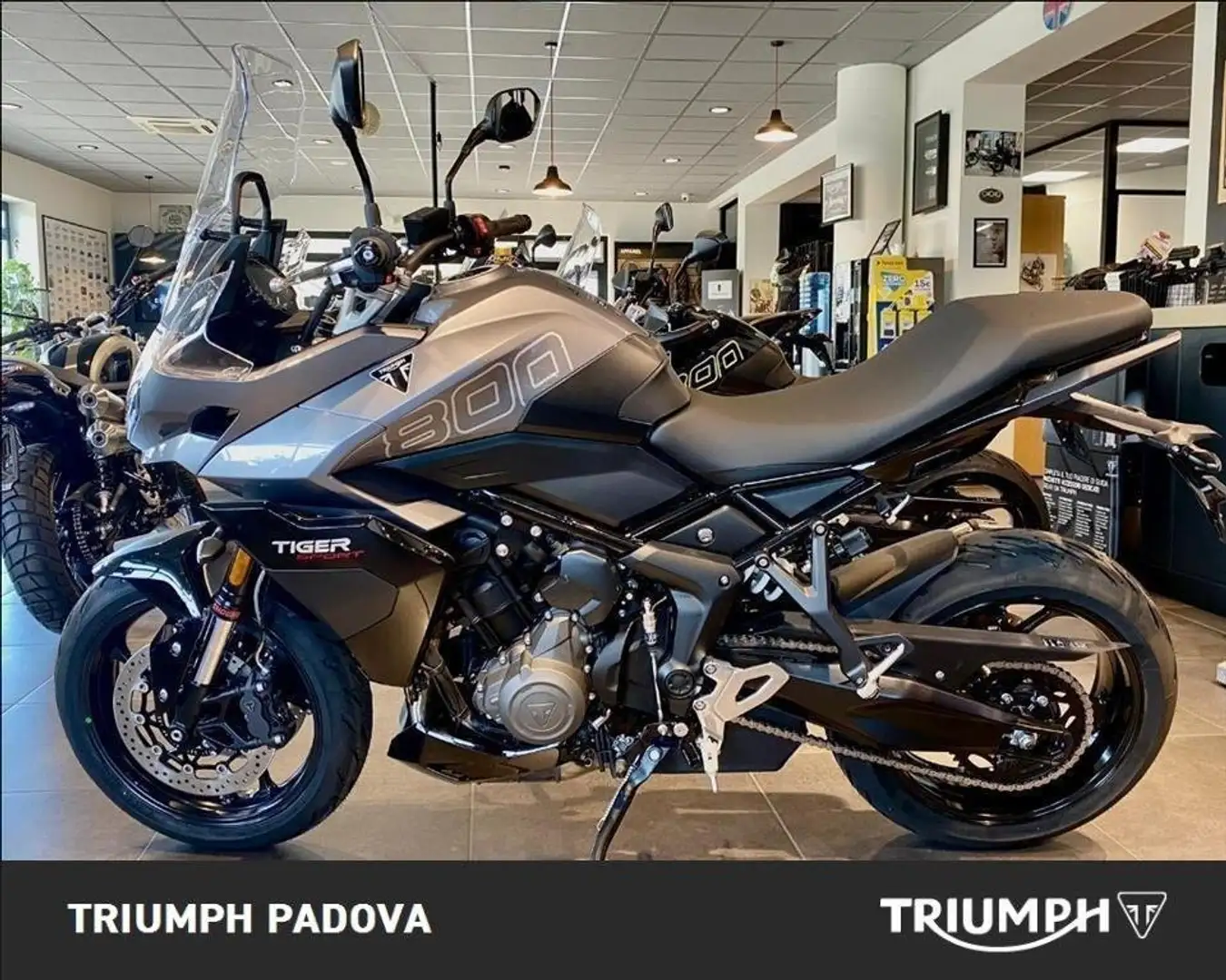 Triumph Tiger Sport 800 Grigio - 1