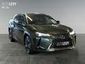 Lexus UX 250h Style Edition Navi+Kamera+PDC+CarPlay Vert - thumbnail 8