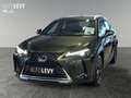 Lexus UX 250h Style Edition Navi+Kamera+PDC+CarPlay Vert - thumbnail 2