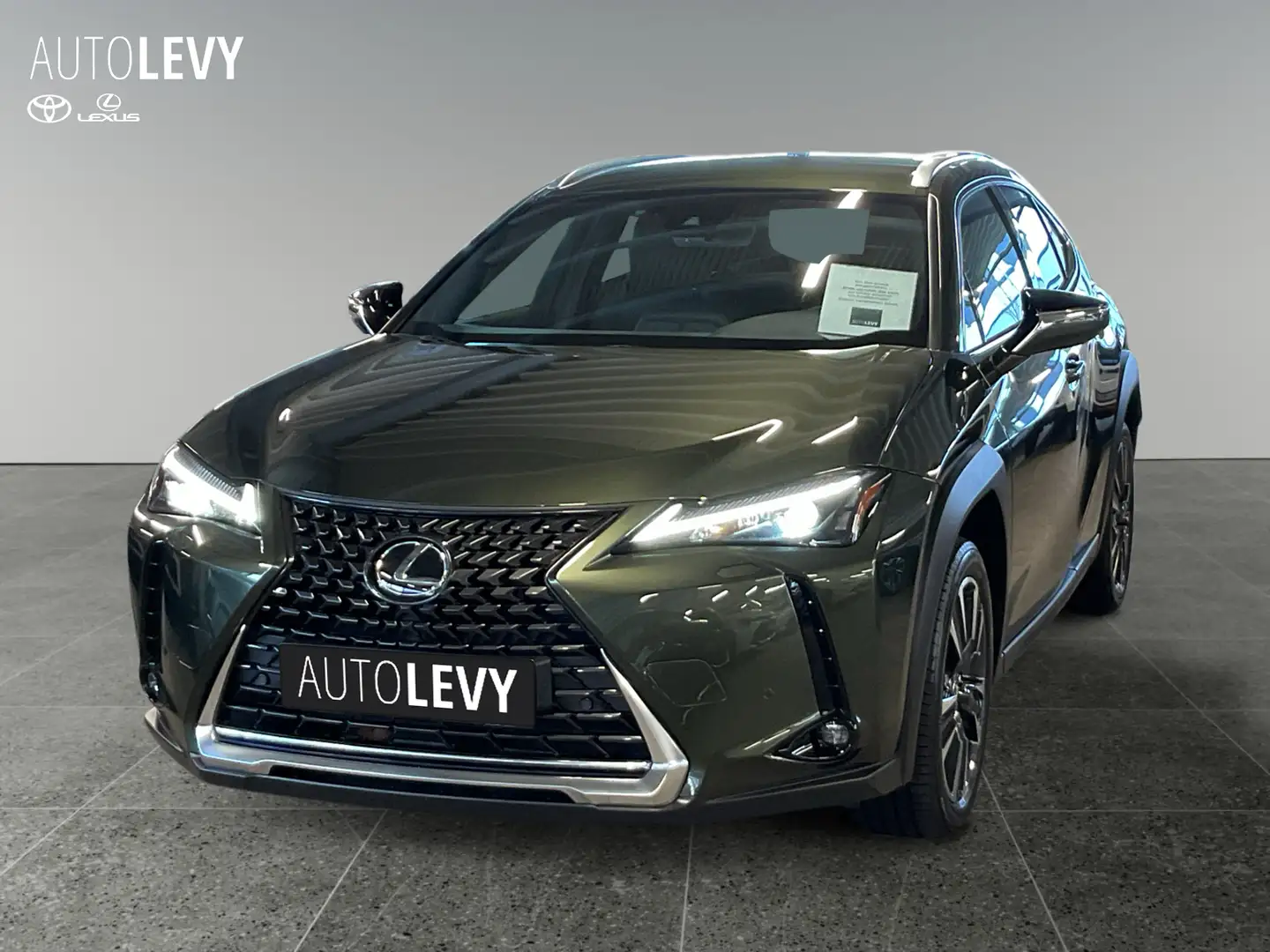 Lexus UX 250h Style Edition Navi+Kamera+PDC+CarPlay Vert - 2