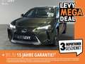 Lexus UX 250h Style Edition Navi+Kamera+PDC+CarPlay Groen - thumbnail 1