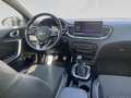 Kia Ceed / cee'd Cee'd Gold 1,5 TGDI Grau - thumbnail 20