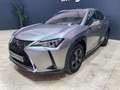 Lexus UX 250h 2.0 Business Gris - thumbnail 11