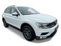 Volkswagen Tiguan 1.4 TSI BMT Comfortline Sitzhzg./AHK/Navi/ParkPilo Weiß - thumbnail 16