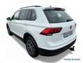 Volkswagen Tiguan 1.4 TSI BMT Comfortline Sitzhzg./AHK/Navi/ParkPilo Weiß - thumbnail 5