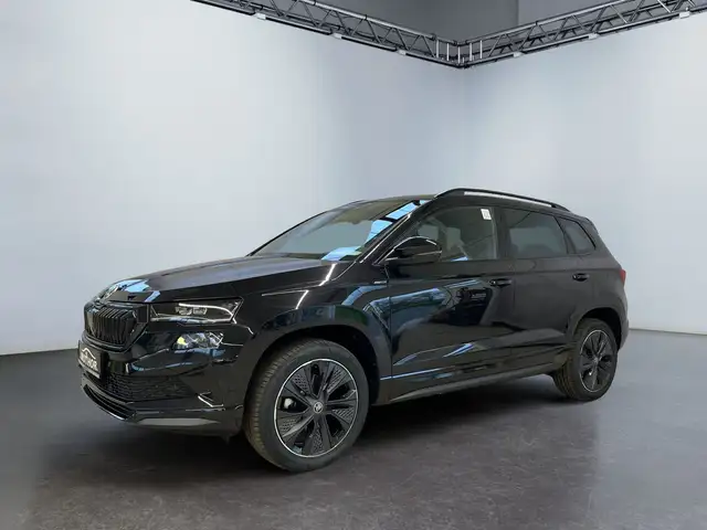 Skoda Karoq view 2