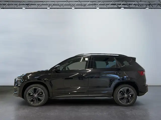 Skoda Karoq view 3