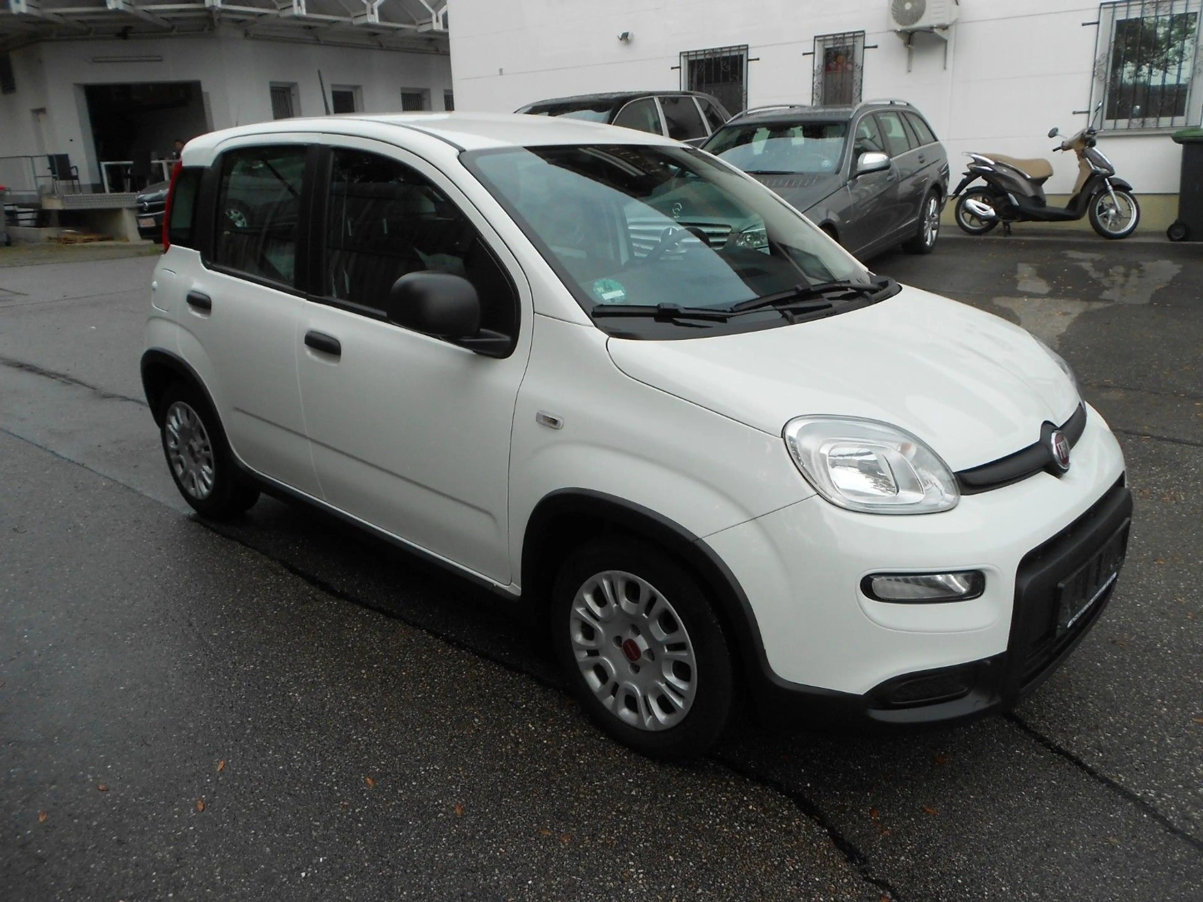 Fiat Panda Mild-Hybrid Klimaautomatik MFL DAB