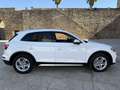 Audi Q5 35 TDI Black line S tronic Wit - thumbnail 8