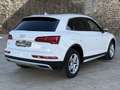 Audi Q5 35 TDI Black line S tronic Wit - thumbnail 5