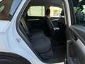 Audi Q5 35 TDI Black line S tronic Wit - thumbnail 17