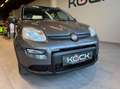 Fiat Panda City Life Grau - thumbnail 3