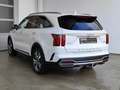 Kia Sorento 1.6 T-GDI DCT PHEV Platinum 4WD AHZV|Pano|ACC Weiß - thumbnail 5