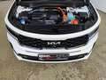 Kia Sorento 1.6 T-GDI DCT PHEV Platinum 4WD AHZV|Pano|ACC Weiß - thumbnail 30