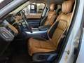 Land Rover Range Rover Sport 3.0tdV6 HSE Dynamic 249cv 7Posti FULL FULL OPT.!!! Bianco - thumbnail 9