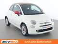 Fiat 500C 1.0 Mild-Hybrid Cult Weiß - thumbnail 8